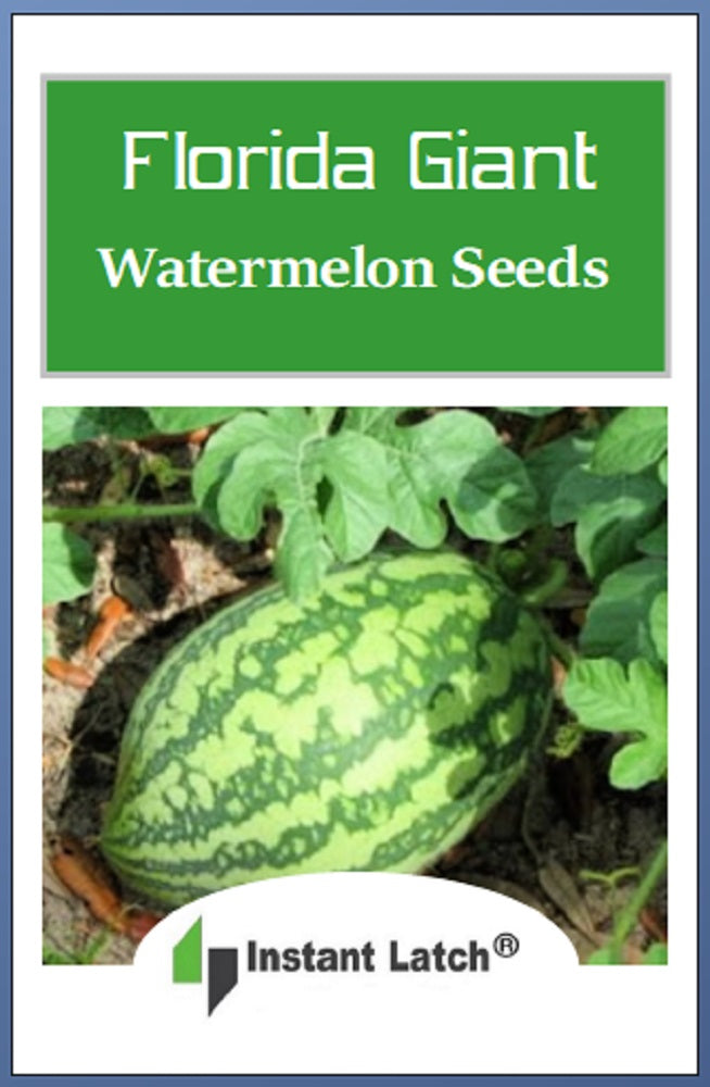 Florida Giant Watermelon Seeds | NON-GMO | Heirloom
