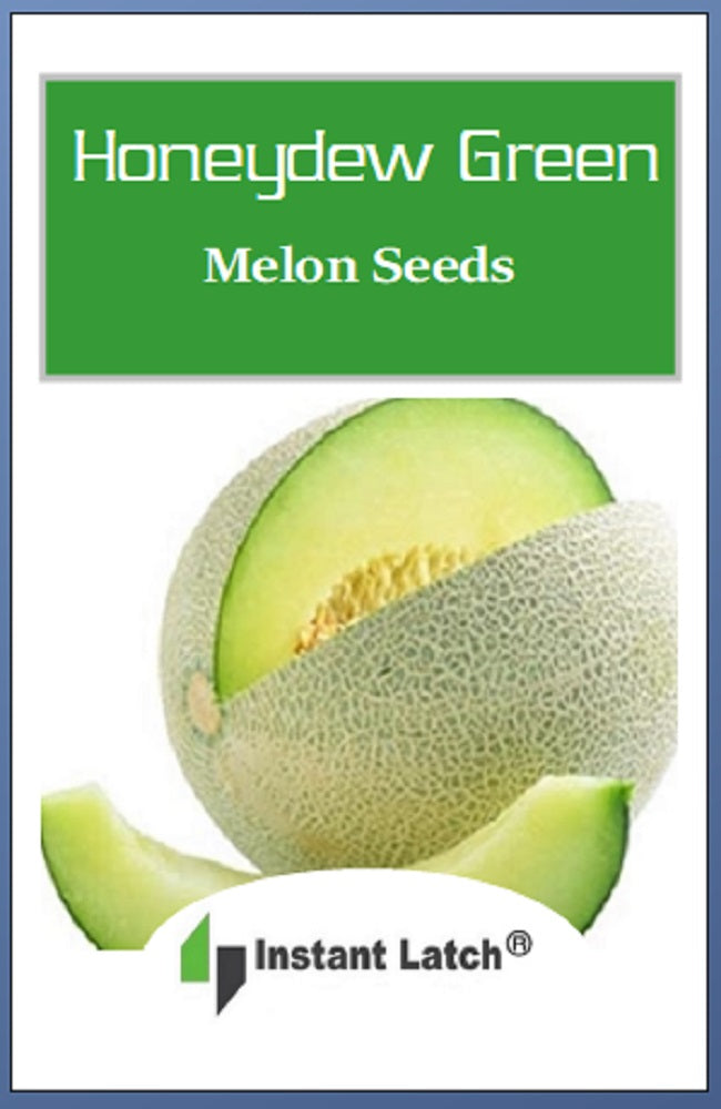 Honeydew Green Melon Seeds | NON-GMO | Instant Latch Fresh Garden Seed