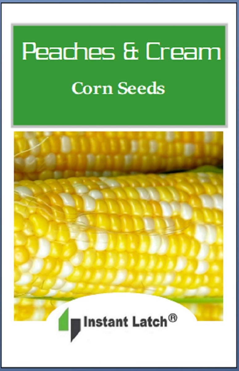 Peaches & Cream Corn Seeds Hybrid Fresh Garden Seeds Instant Latch