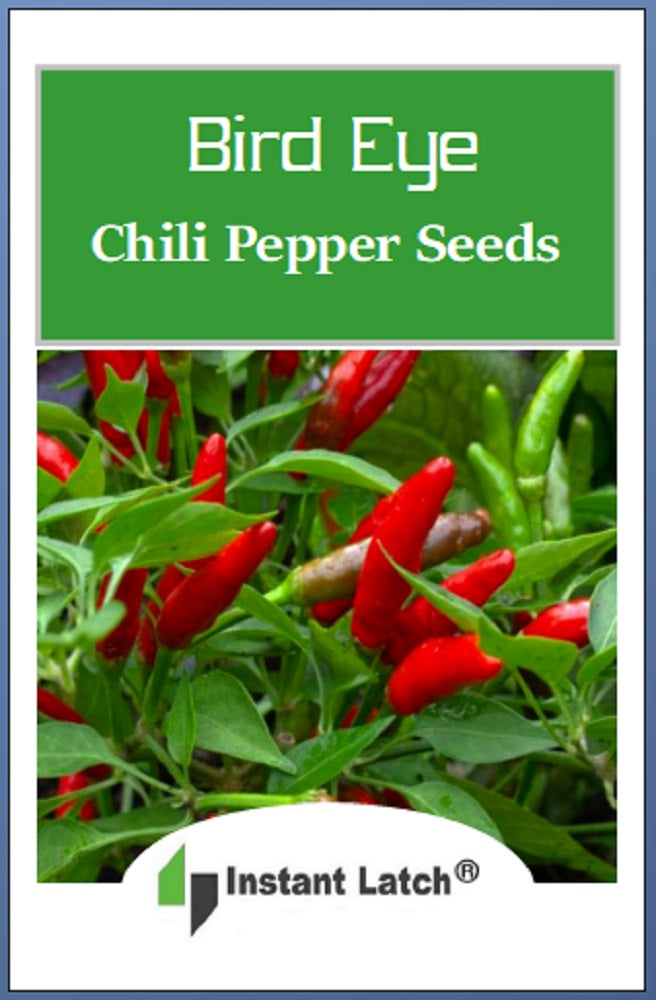 planting birds eye chilli seeds Birdseye Chili Pepper Seeds for Planting NON-GMO Heirloom Fresh Garden Seeds