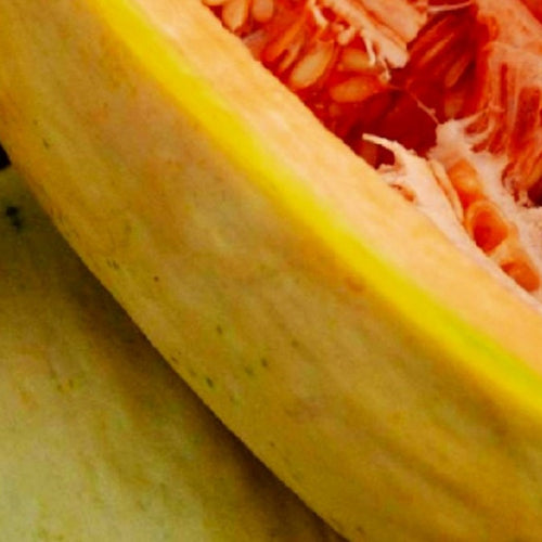 Banana Melon Seeds | NON-GMO | Heirloom | Fresh Garden Seeds
