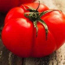 Load image into Gallery viewer, Beefsteak Tomato Seeds | NON-GMO | Instant Latch Fresh Garden Seeds