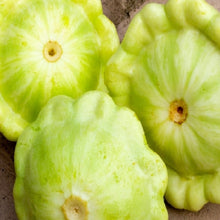 Load image into Gallery viewer, Bennings Green Tint Summer Squash Seeds | NON-GMO | Heirloom |Fresh Garden Seeds