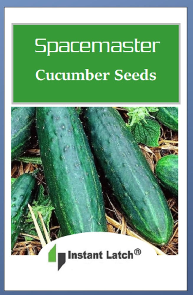 Bushy Cucumber - Organic - Seed Savers Exchange