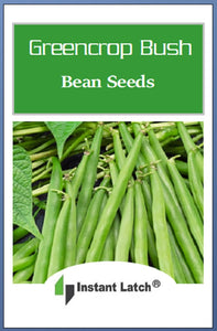 Greencrop Bush Bean Seeds | NON-GMO | Heirloom | Fresh Garden Seeds