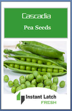 Load image into Gallery viewer, Cascadia Pea Seeds | NON-GMO | Heirloom | Fresh Garden Seeds