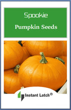 Load image into Gallery viewer, Spookie Pumpkin Seeds | NON-GMO | Heirloom | Fresh Garden Seeds