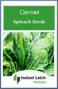 Carmel Spinach Seeds | F1 Hybrid | Fresh Garden Seeds