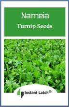 Load image into Gallery viewer, Namenia Turnip Seeds | NON_GMO | Heirloom | Fresh Garden Seeds
