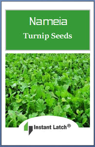Namenia Turnip Seeds | NON_GMO | Heirloom | Fresh Garden Seeds