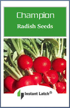 Load image into Gallery viewer, Champion Radish Seeds | NON-GMO | Instant Latch Fresh Garden Seeds