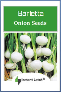 Barletta Onion Seeds | NON-GMO | Heirloom | Fresh Garden Seeds