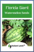 Load image into Gallery viewer, Florida Giant Watermelon Seeds | NON-GMO | Heirloom | Fresh Garden Seeds