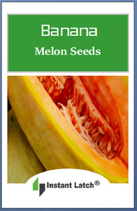 Banana Melon Seeds | NON-GMO | Heirloom | Fresh Garden Seeds