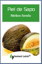 Load image into Gallery viewer, Piel de Sapo Melon Seeds | NON-GMO | Heirloom | Fresh Garden Seeds
