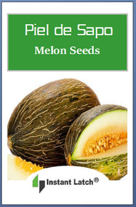 Piel de Sapo Melon Seeds | NON-GMO | Heirloom | Fresh Garden Seeds