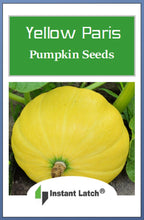 Load image into Gallery viewer, Yellow Paris Pumpkin Seeds | NON-GMO | Heirloom | Fresh Garden Seeds
