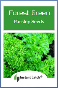 Forest Green Parsley Seeds | NON-GMO | Heirloom | Fresh Garden Seeds