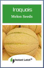 Load image into Gallery viewer, Iroquois Melon Seeds | NON-GMO | Heirloom | Fresh Garden Seeds