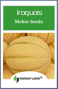 Iroquois Melon Seeds | NON-GMO | Heirloom | Fresh Garden Seeds
