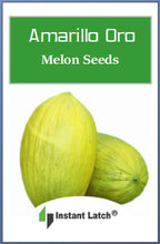 Load image into Gallery viewer, Amarillo Oro Melon Seeds | NON-GMO | Heirloom | Fresh Garden Seeds