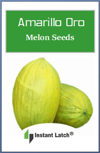 Amarillo Oro Melon Seeds | NON-GMO | Heirloom | Fresh Garden Seeds
