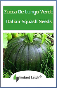 Italian Squash Zucca De Lungo Verde Seeds | NON-GMO | Fresh Garden Seeds