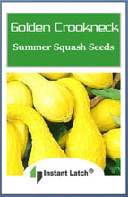 Load image into Gallery viewer, Crookneck Golden Summer Squash Seeds | NON-GMO | Heirloom | Fresh Garden Seeds