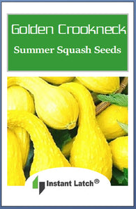 Crookneck Golden Summer Squash Seeds | NON-GMO | Heirloom | Fresh Garden Seeds