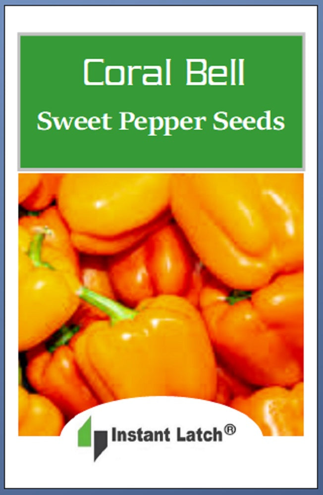 100 Big Red Sweet Bell Pepper Seeds - NON-GMO Heirloom, FREE SHIPPING From USA Seller