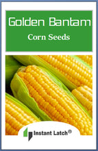 Load image into Gallery viewer, Golden Bantam Corn Seeds for Planting Non-GMO Heirloom Fresh Garden Seeds