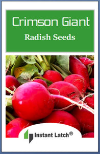 Crimson Giant Radish Seeds | NON-GMO | Heirloom | Fresh Garden Seeds