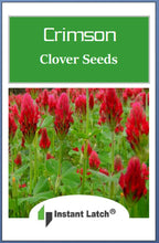 Load image into Gallery viewer, Crimson Clover Cover Crop Seeds | NON-GMO | Heirloom | Fresh Garden Seeds