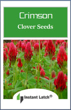 Load image into Gallery viewer, Crimson Clover Cover Crop Seeds for Planting NON-GMO Heirloom Fresh Garden Seeds