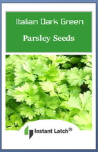 Load image into Gallery viewer, Italian Parsley Dark Green Flat Leaf Seeds | NON-GMO | Instant Latch Fresh Garden Seeds