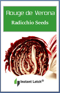 Radicchio Seeds | Rouge de Verona | Heirloom | Fresh Garden Seeds