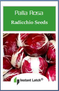 Radicchio Seeds | Palla Rosa | Heirloom | Fresh Garden Seeds