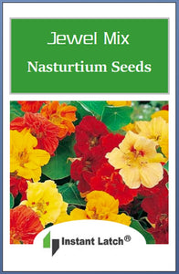Jewel Mix Nasturtium Seeds | NON-GMO | Heirloom | Fresh Flower Seeds
