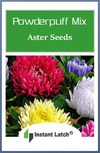 Powderpuff Mix Aster Seeds | NON-GMO | Heirloom | Fresh Flower Seeds