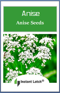 Anise Seeds | NON-GMO | Heirloom | Fresh Garden Seeds