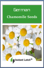 Load image into Gallery viewer, German Chamomile Seeds | NON-GMO | Heirloom | Fresh Garden Seeds