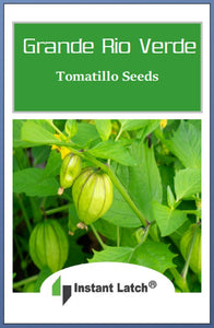 Tomatillo Seeds | Grande Rio Verde | NON-GMO | Heirloom | Fresh Garden Seeds