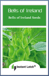 Bells of Ireland Seeds | NON-GMO | Heirloom | Fresh Vegetable Seeds