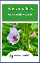 Load image into Gallery viewer, Marshmallow Seeds | NON-GMO | Heirloom | Fresh Garden Seeds