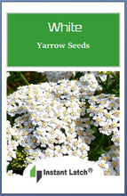Load image into Gallery viewer, White Yarrow Seeds | NON-GMO | Heirloom | Fresh Garden Seeds