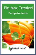Load image into Gallery viewer, Big Max Pumpkin Treated Seeds | NON-GMO | Heirloom | Fresh Garden Seeds