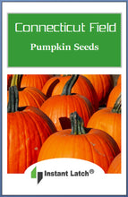 Load image into Gallery viewer, Connecticut Field Pumpkin Seeds | NON-GMO | Heirloom | Fresh Garden Seeds