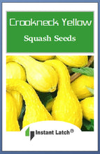 Load image into Gallery viewer, Crookneck Yellow Squash | NON-GMO | Instant Latch Fresh Garden Seeds