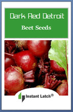 Load image into Gallery viewer, Dark Red Detroit Beet Seeds | NON-GMO | Instant Latch Fresh Garden Seeds