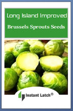 Load image into Gallery viewer, Long Island Brussels Sprouts Seeds | NON-GMO | Instant Latch Fresh Garden Seeds